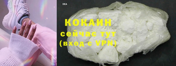 прущие крисы Балахна